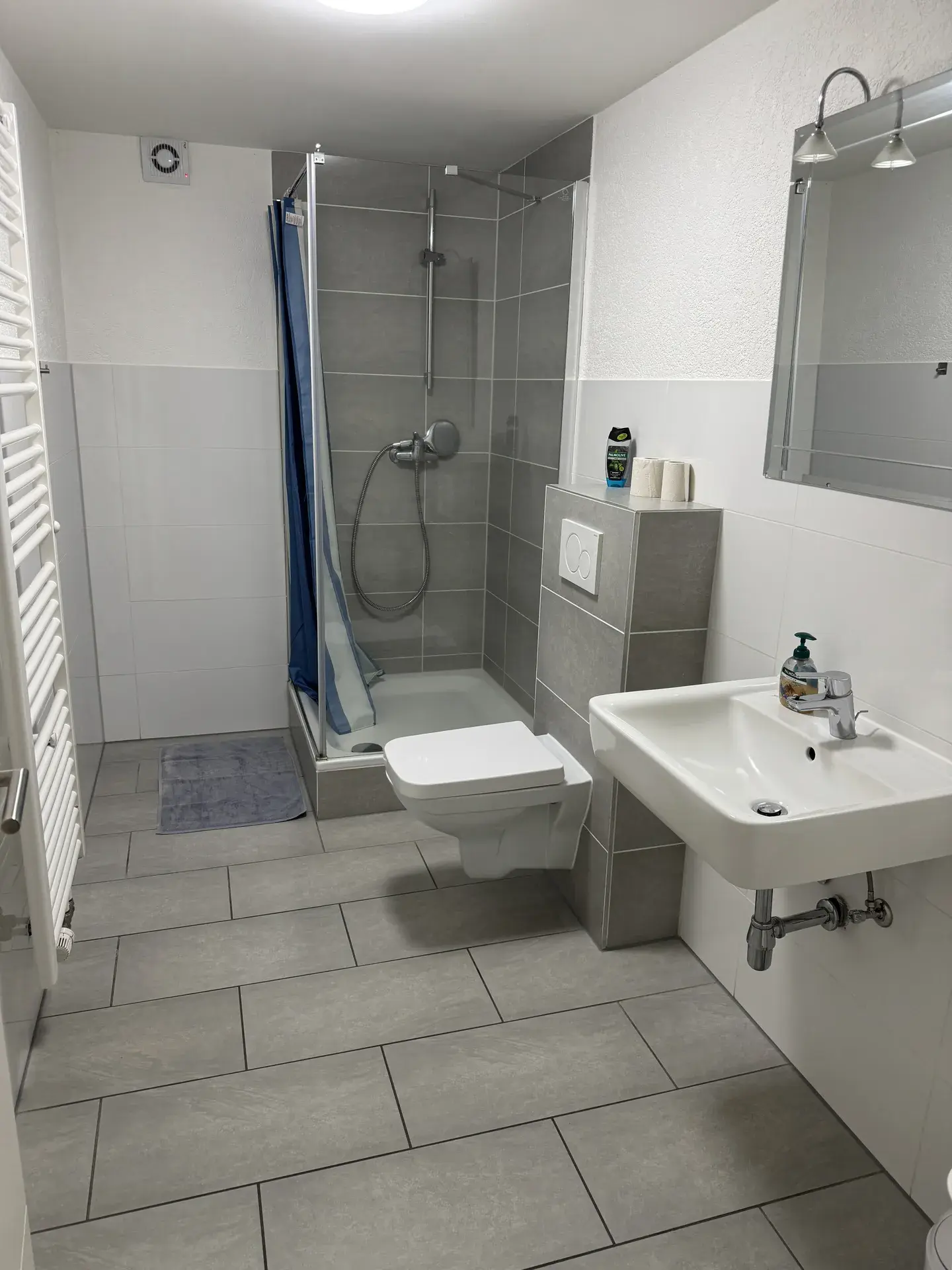 Modernes Bad der Monteurwohnung in Fernwald mit bodengleicher Dusche, WC und Waschtisch